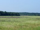 Жители Свердловской области могут бесплатно получить гектар земли