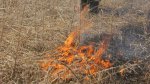 Сезон весенней охоты приостановлен в Свердловской области для профилактики лесных пожаров